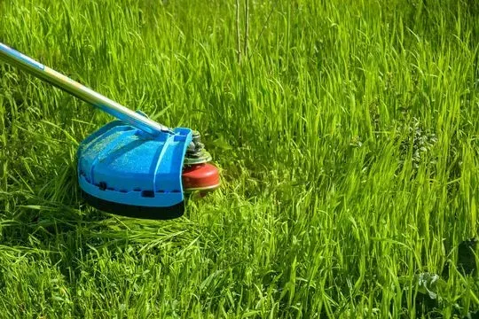 Una cortadora de césped está cortando el césped en un exuberante campo verde.