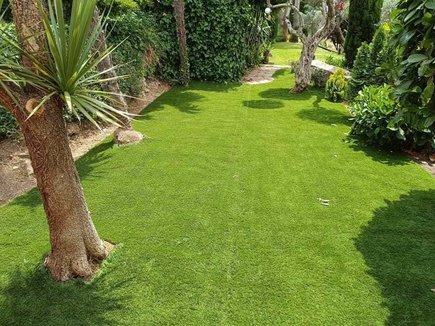 Un césped verde y exuberante con un árbol en el medio.
