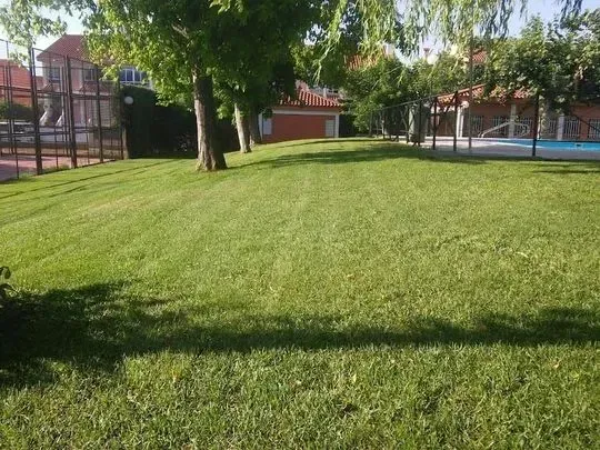 Un exuberante césped verde con árboles y una piscina al fondo.