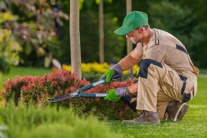 Gartenpflege | Gartengestaltung Nils Walterscheidt