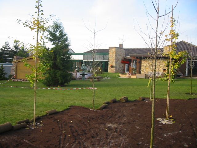 Grüner Rasen mit jungen Bäumen, ein Haus mit Steinfassade und Rasenrollen.