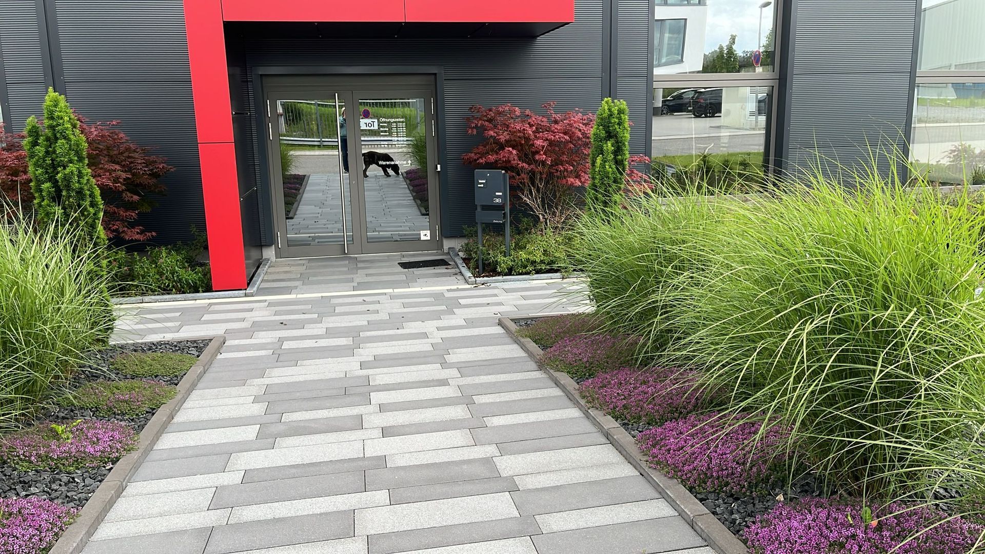 Weg zum Eingang eines modernen Gebäudes; graue und schwarze Pflastersteine, mit Pflanzen bepflanzt.
