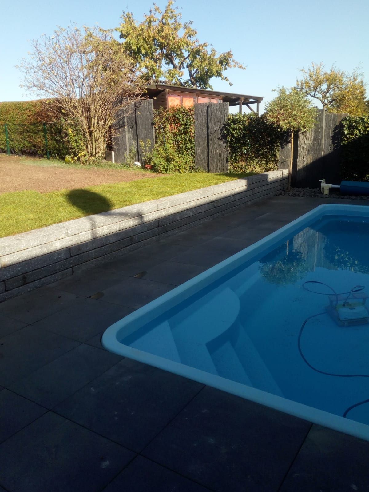 Rechteckiger blauer Pool mit Treppe, neben einer gepflasterten Terrasse und einem grünen Rasen, vor der Kulisse von Bäumen und einem Schuppen.