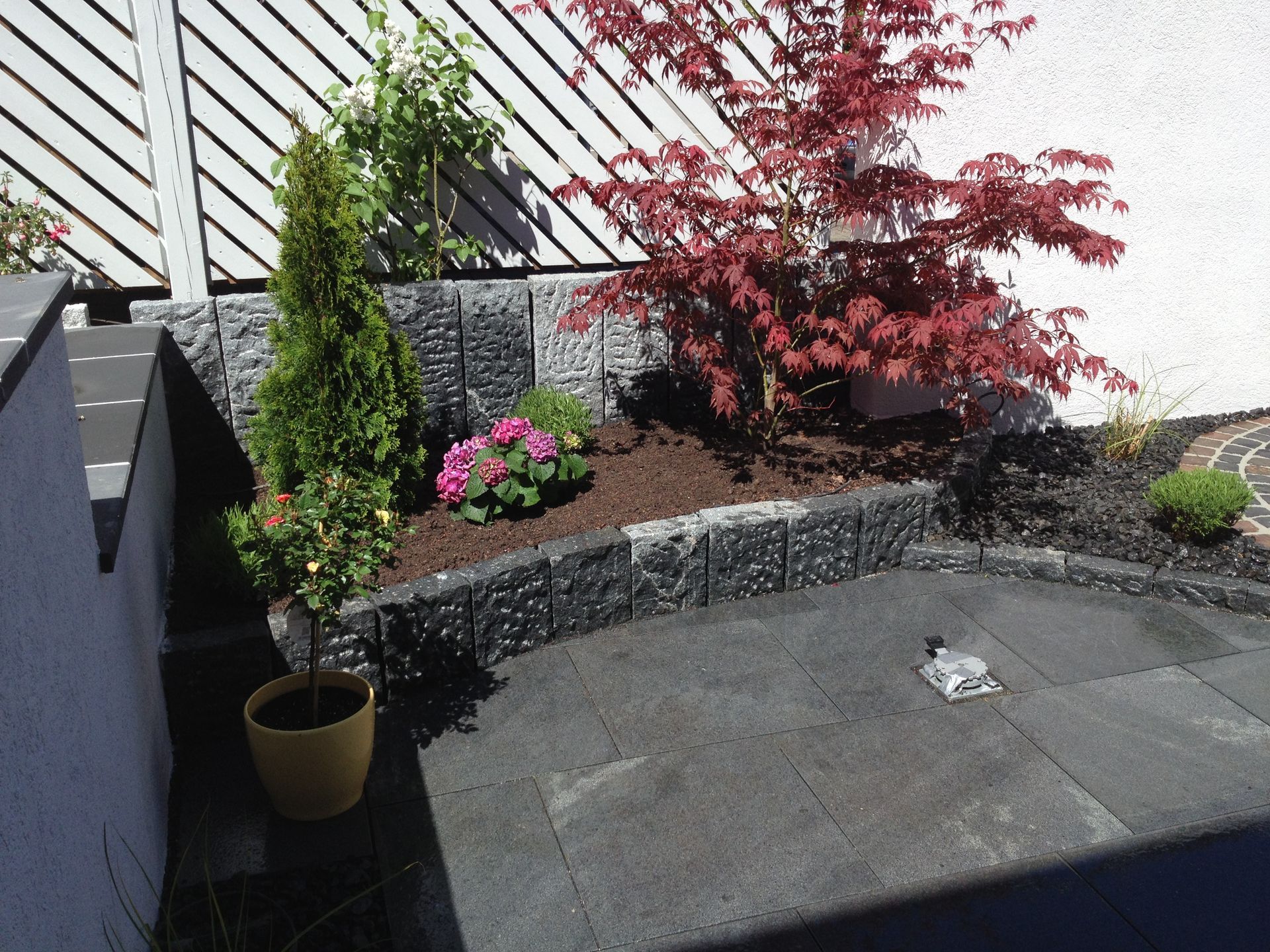 Ein Gartenbeet mit dunkler Steinmauer, rotem japanischem Ahorn, grünen Sträuchern und einer Topfpflanze.