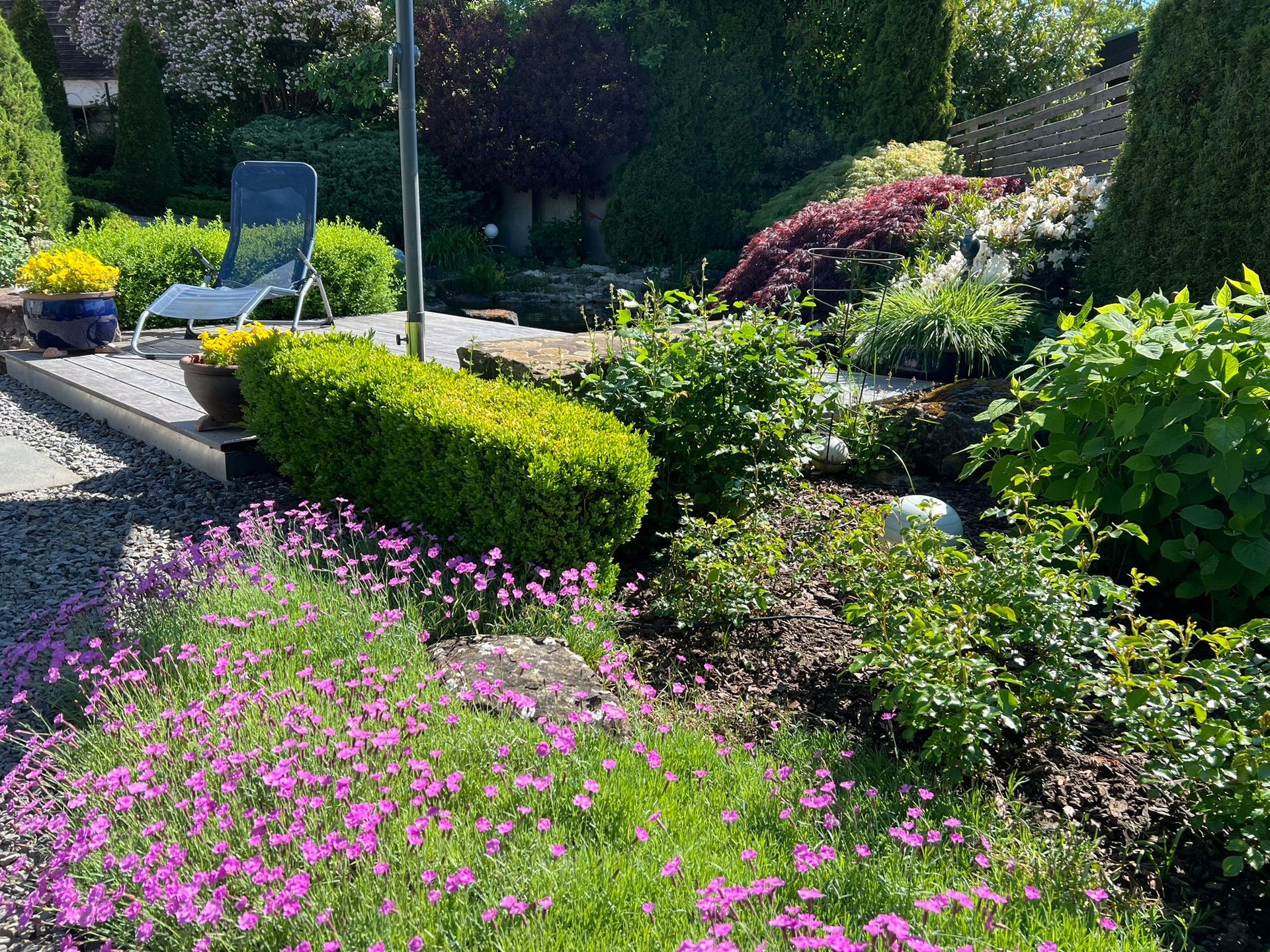 Ein üppiger Garten mit verschiedenen grünen Pflanzen und violetten Blumen, ein Liegestuhl und ein Steinweg.