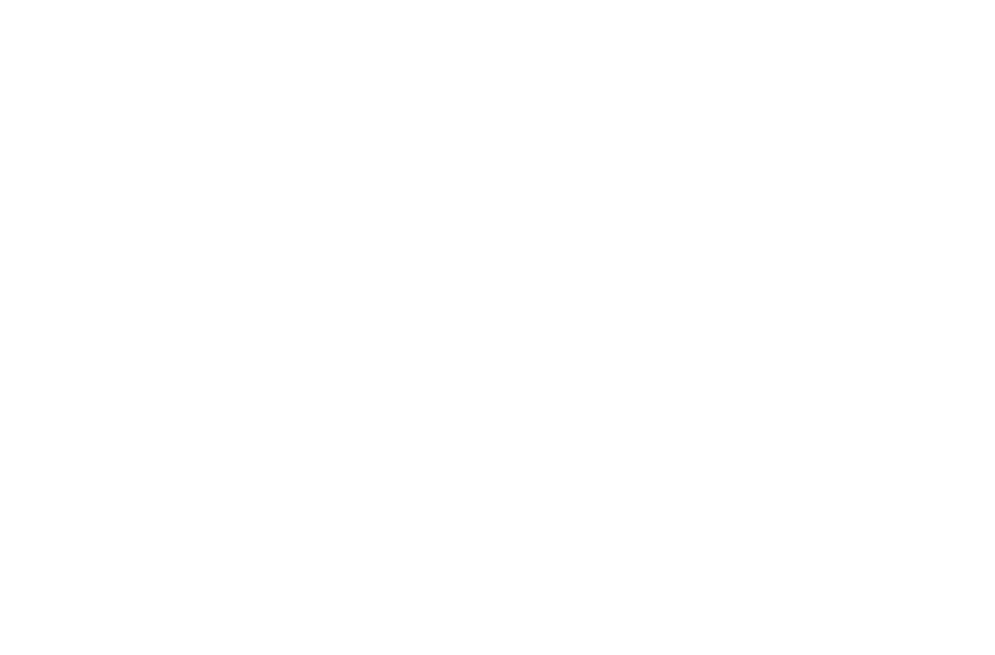 MDS Haus Logoelement