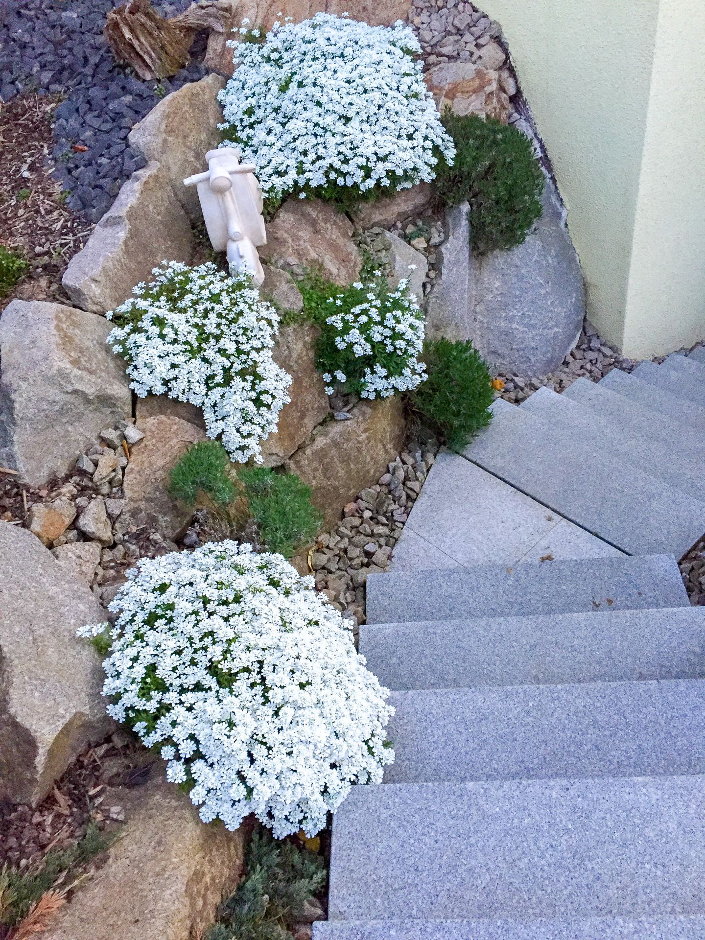 Eine Treppe mit weißen Blumen an der Seite