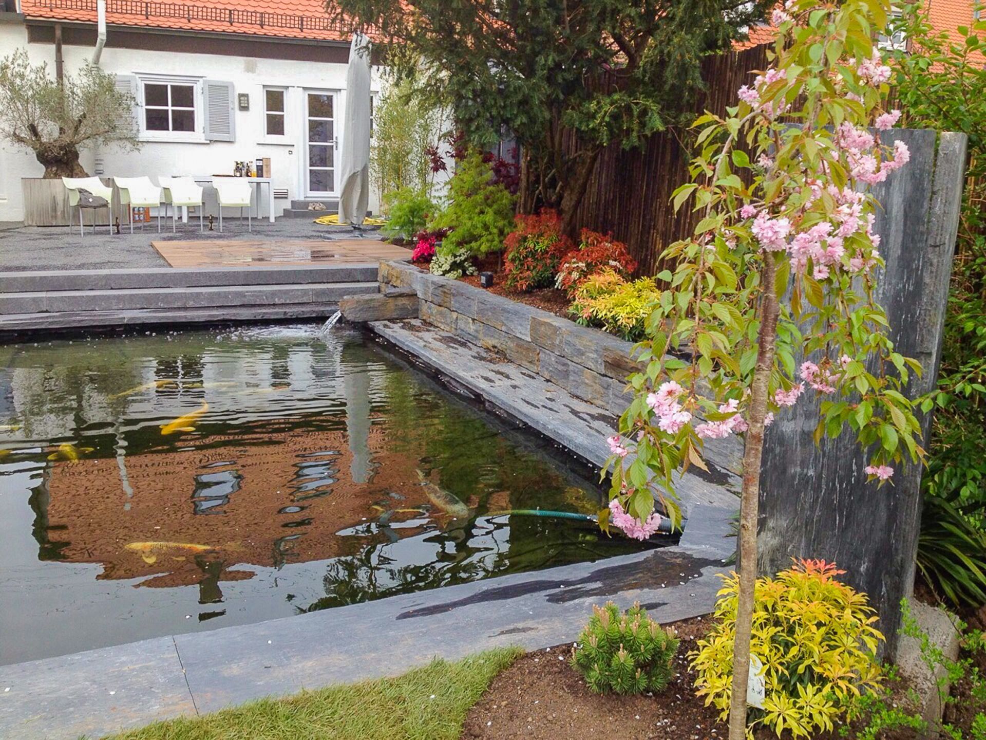 Ein Teich in einem Garten mit einem Haus im Hintergrund