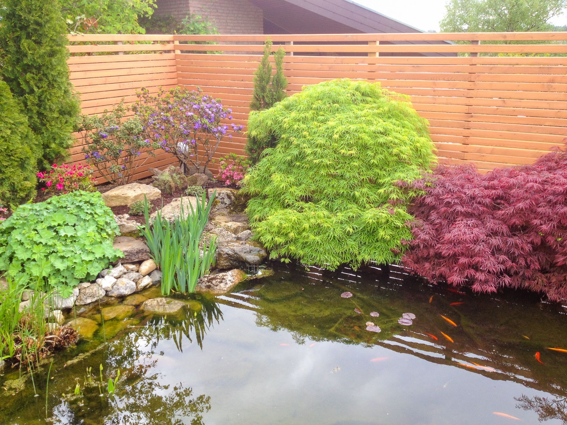 Ein Teich, umgeben von Bäumen und Blumen mit einem Holzzaun im Hintergrund