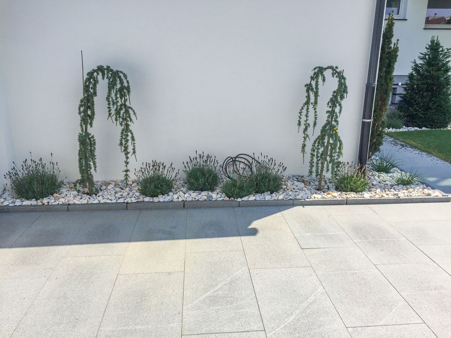 Eine weiße Wand mit ein paar Pflanzen darauf