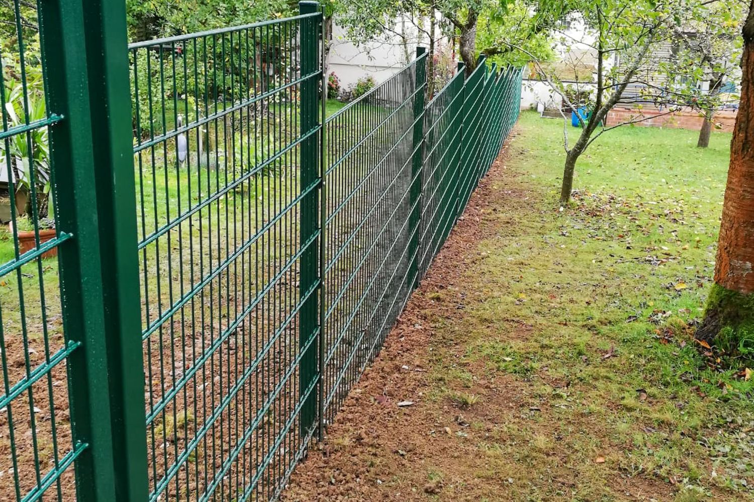 Ein grüner Zaun umgibt einen üppig grünen Hof.