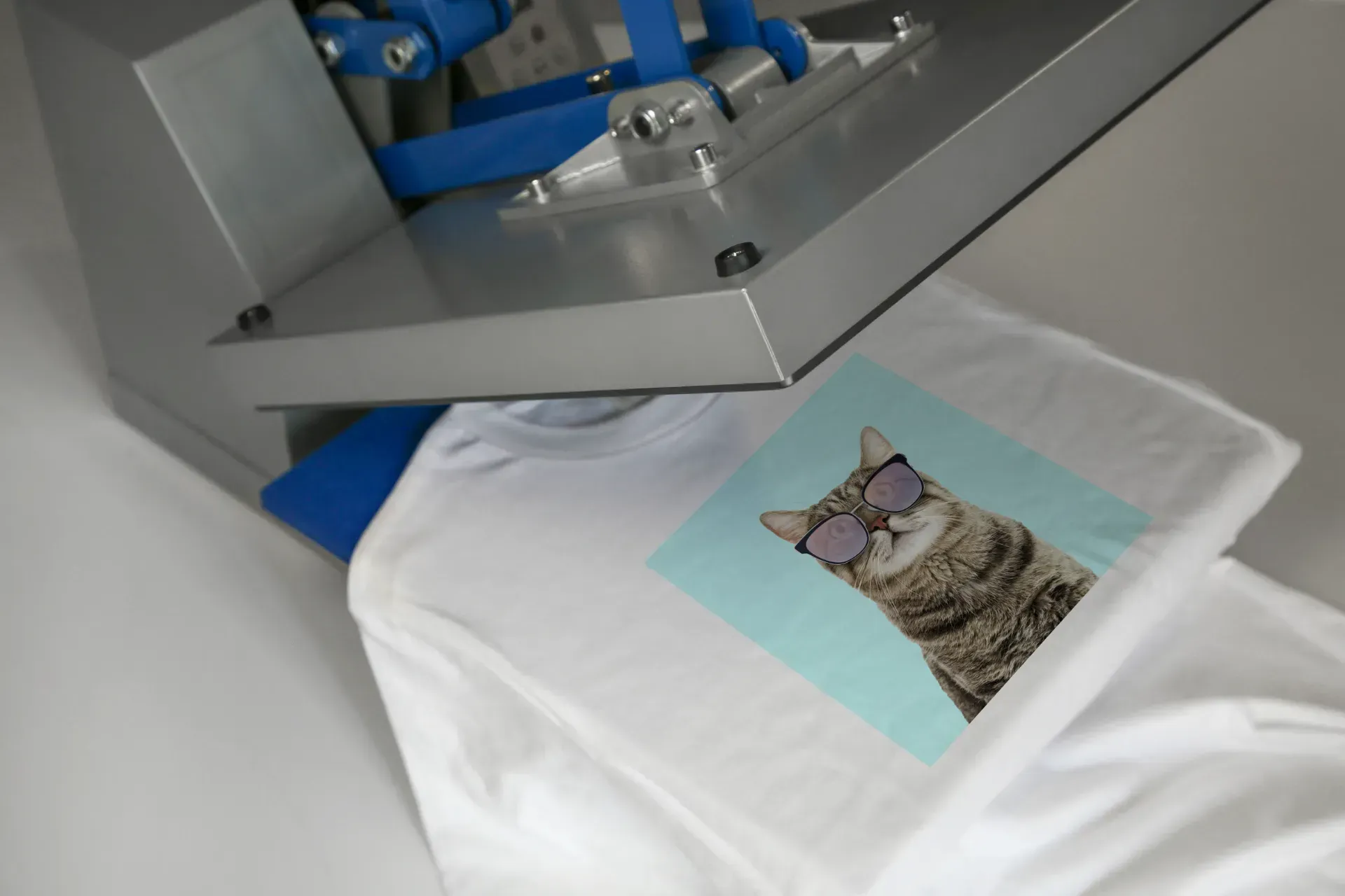Un gato con gafas de sol está impreso en una camiseta blanca.