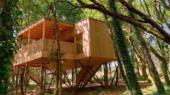 Una pequeña casa de madera en el árbol en medio de un bosque.