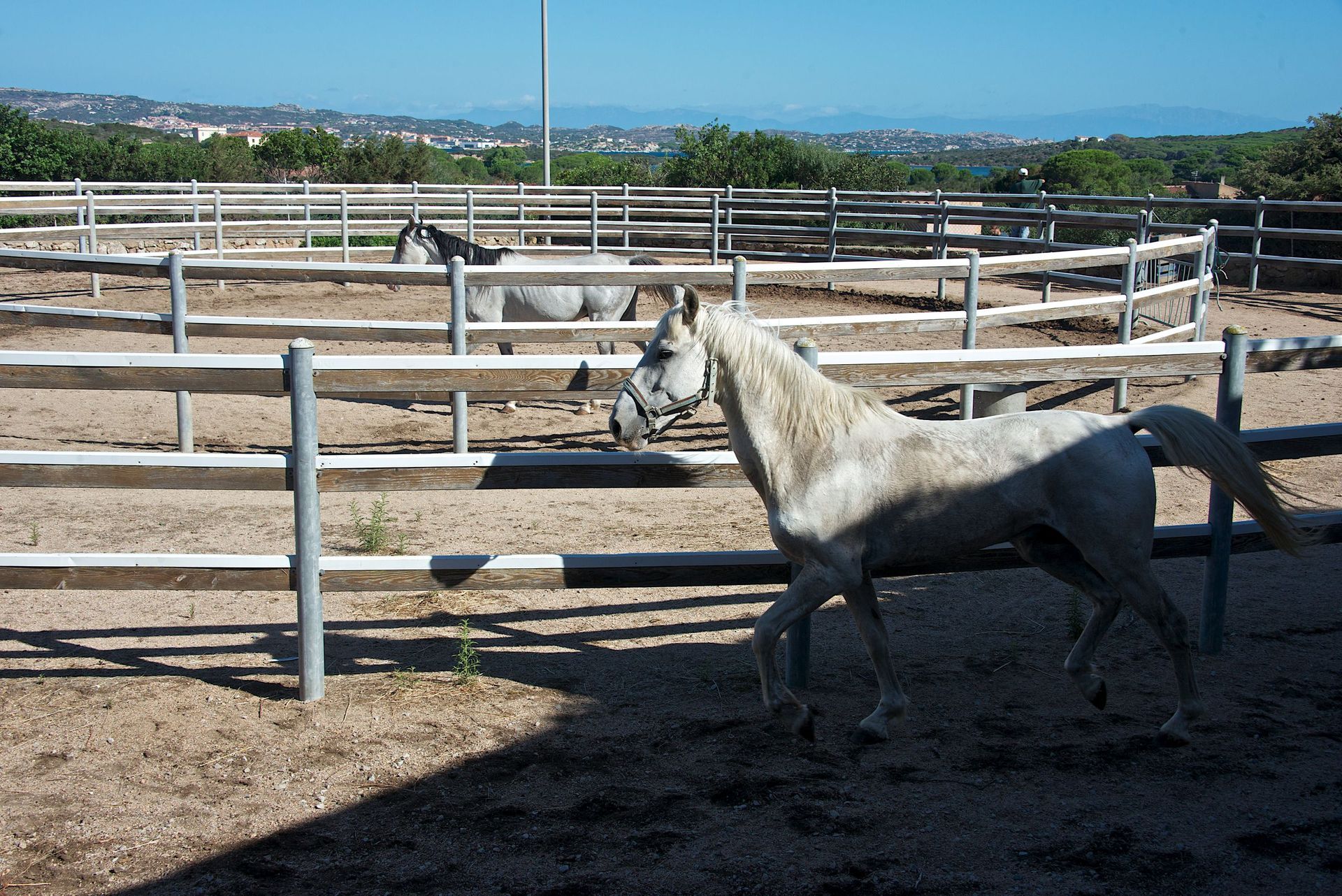 Manège à chevaux - Delta Plan Carrel Sàrl