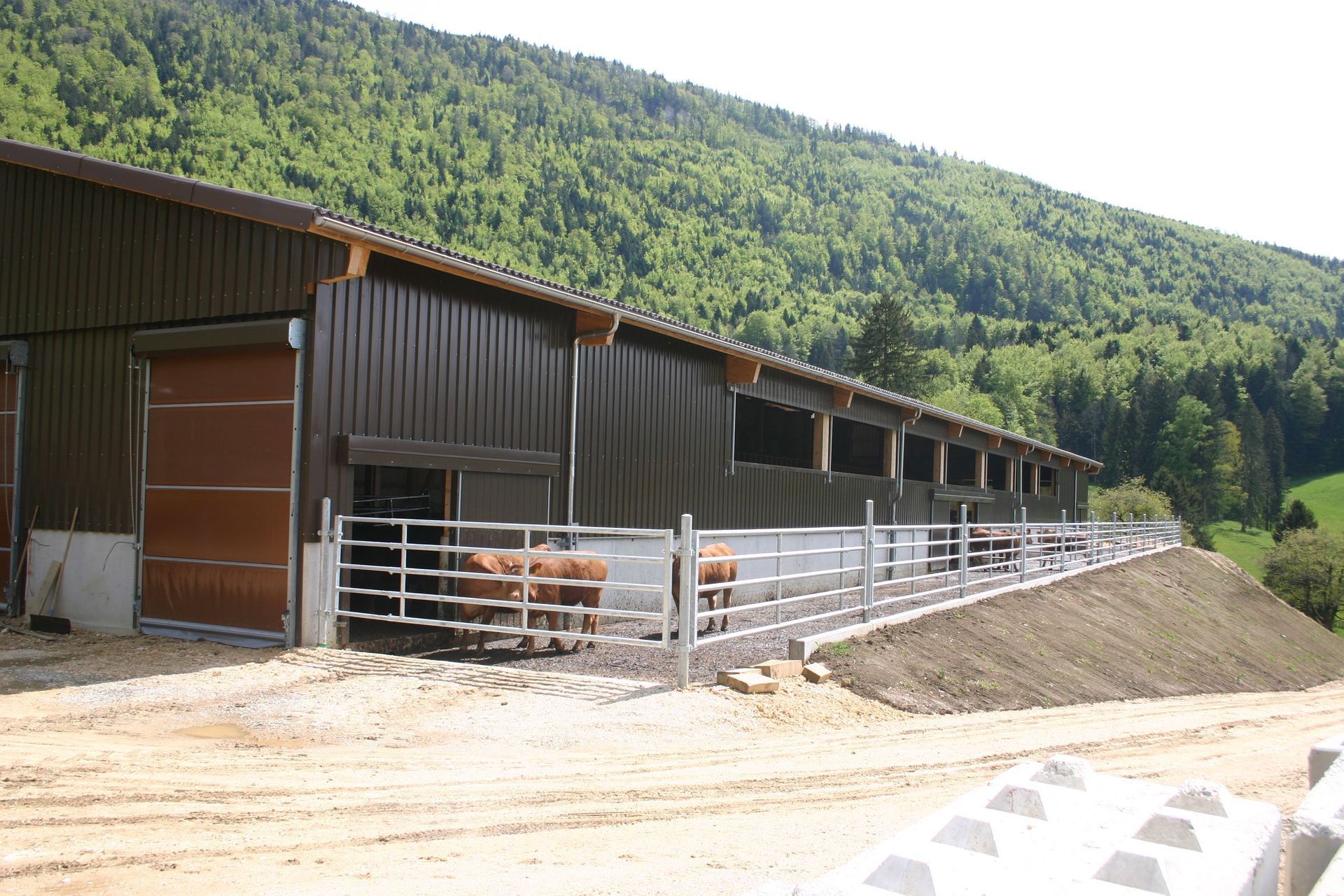 ferme vaches allaitantes - Delta Plan Carrel Sàrl