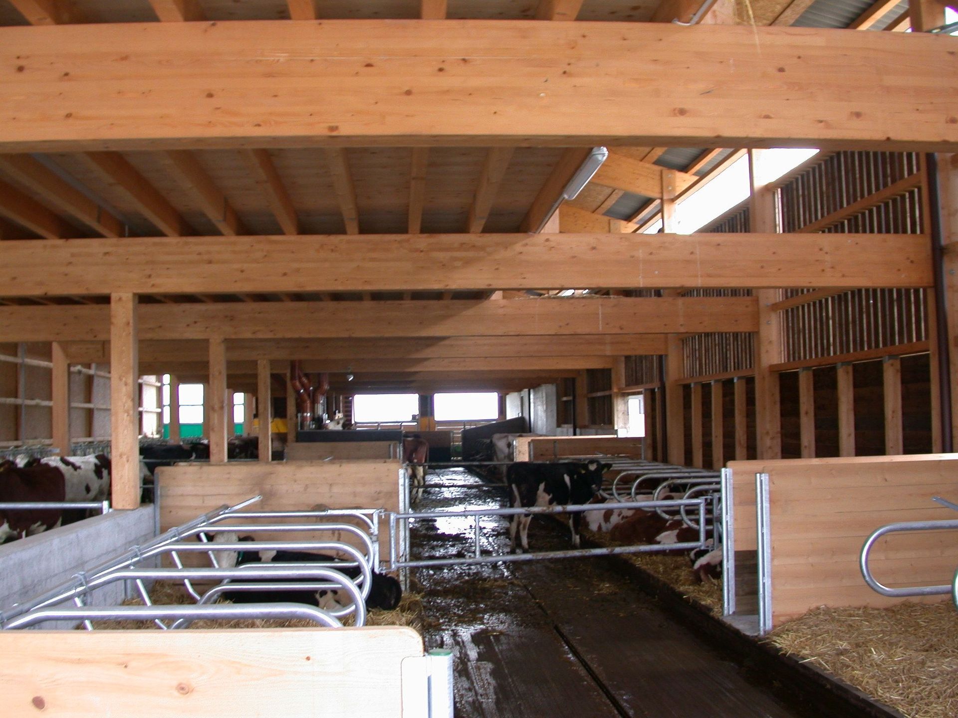 Ferme laitière - Delta Plan Carrel Sàrl