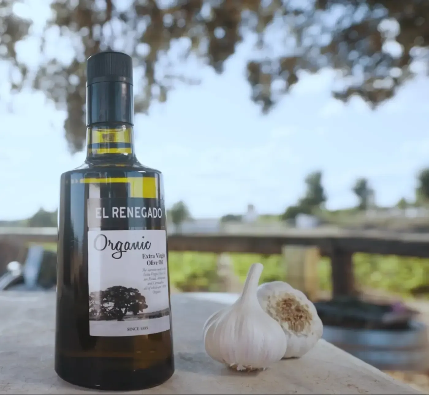 Botella de aceite de oliva ecológico, cabezas de ajo sobre una mesa con un viñedo al fondo.