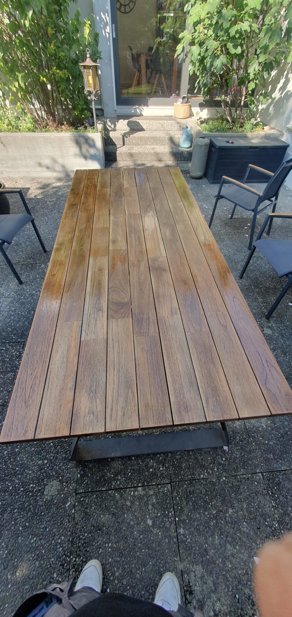 Eine Schubkarre voller Pflanzen und ein Rechen in einem Garten