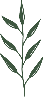 Feuille botanique verte aux contours vert foncé.