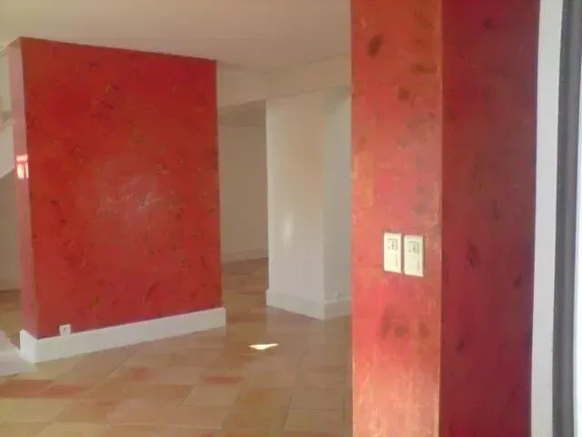 Salle et peinture carénia