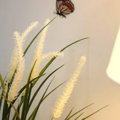 Flores blancas y plumosas en un jarrón con una mariposa posada en un tallo, contra una pared cálida.