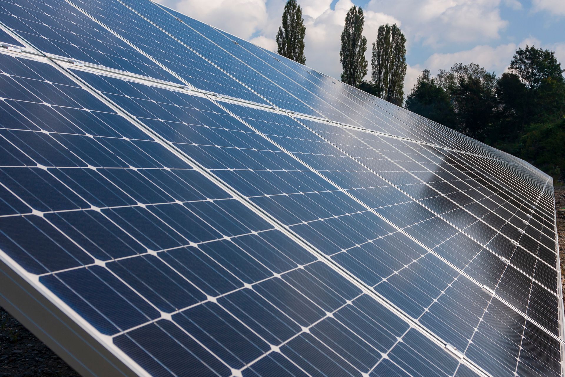 Una fila de paneles solares con árboles al fondo.