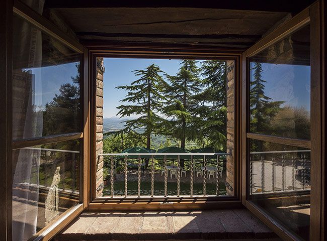 Baies vitrées en bois