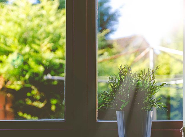 Plante verte sur le rebord d'une fenêtre
