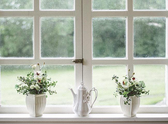 Plantes en pots devant une fenêtre