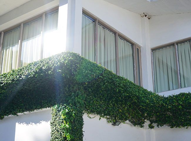 Grandes baies vitrées sur un immeuble