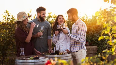 Quatre personnes dégustent du vin dans un vignoble.
