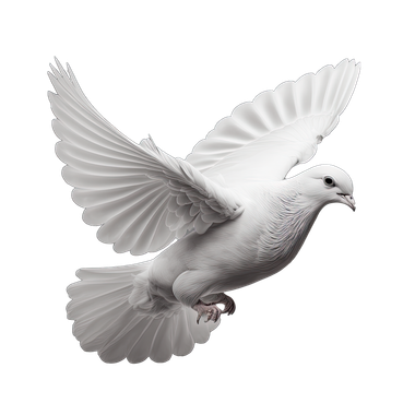 Un oiseau en plein vol