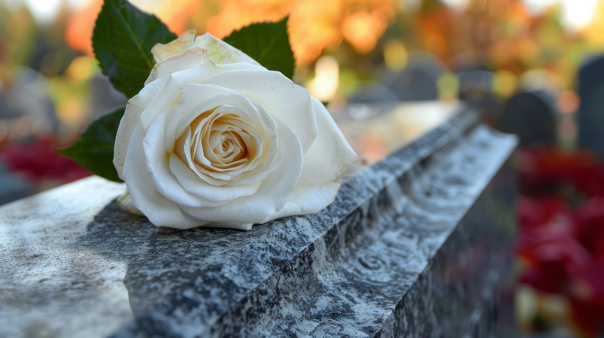 Une fleur de couleur blanche sur une pierre tombale