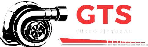 Logo CST