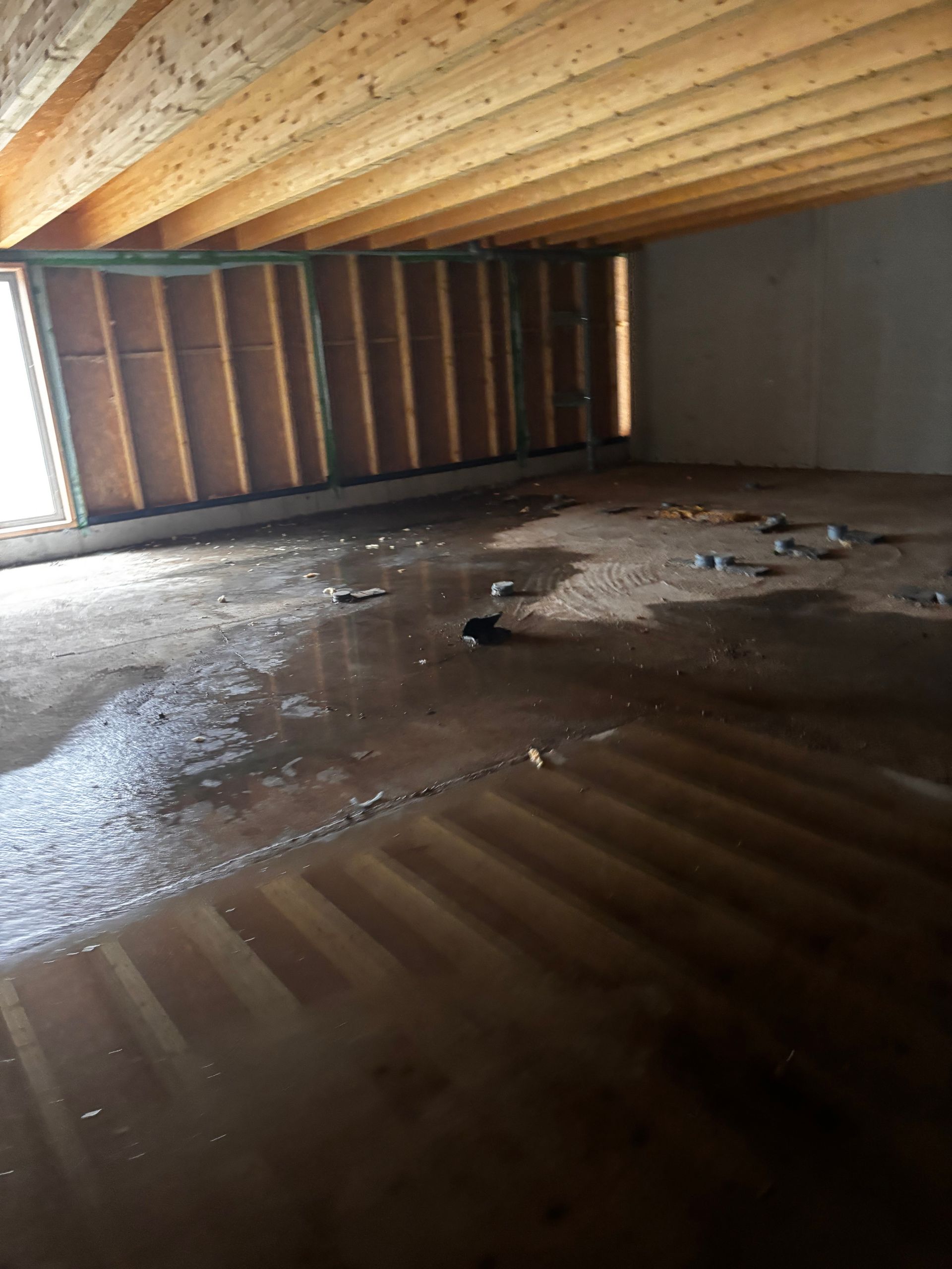 Sous-sol inondé avec eau stagnante, poutres en bois au plafond et murs à ossature en bois.