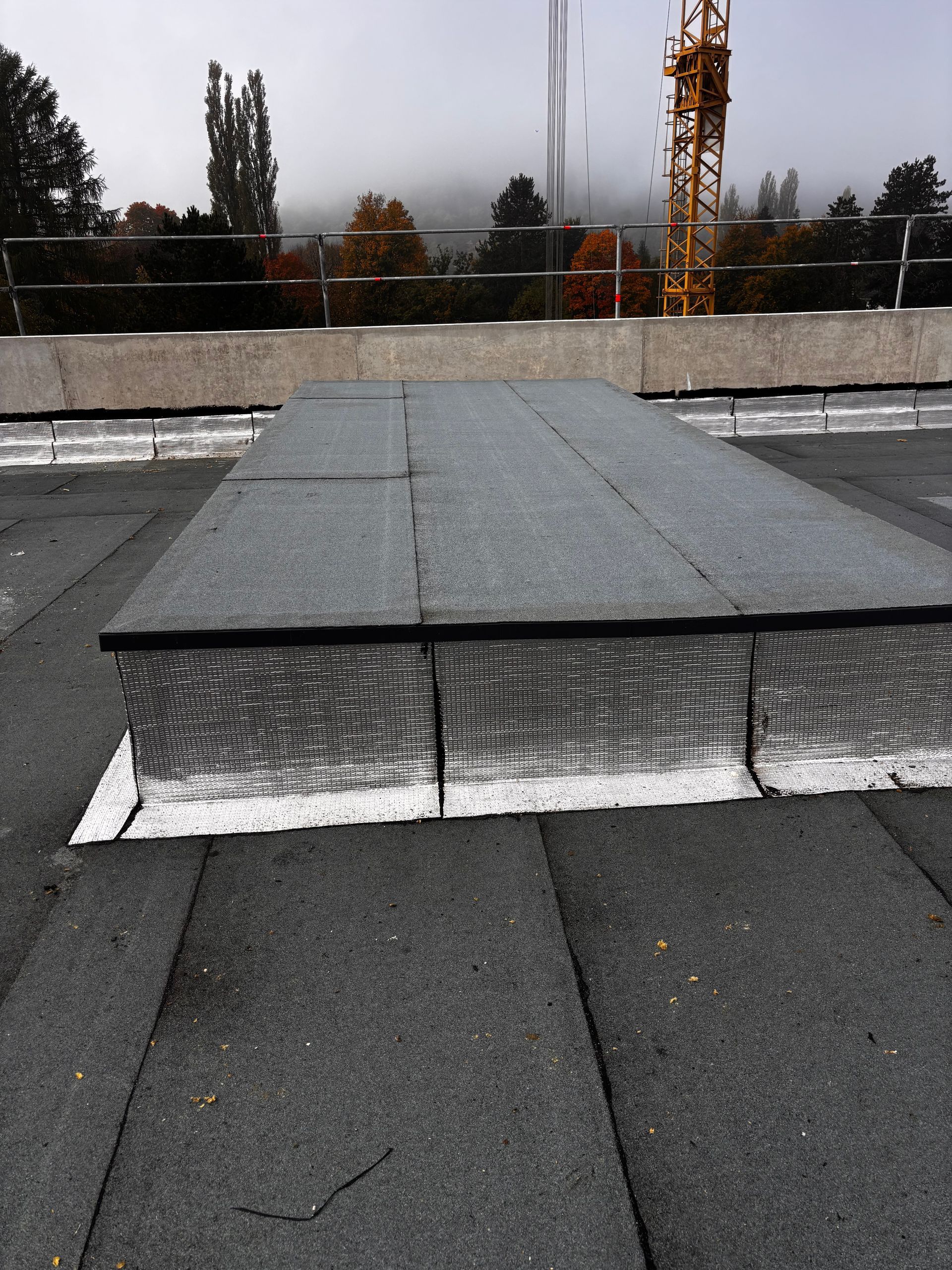 Toit plat et sombre de forme rectangulaire. Une grue et des arbres enveloppés de brume se dessinent à l'arrière-plan.