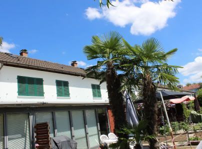 Renovation - Reinach BL - Severin Musfeld GmbH