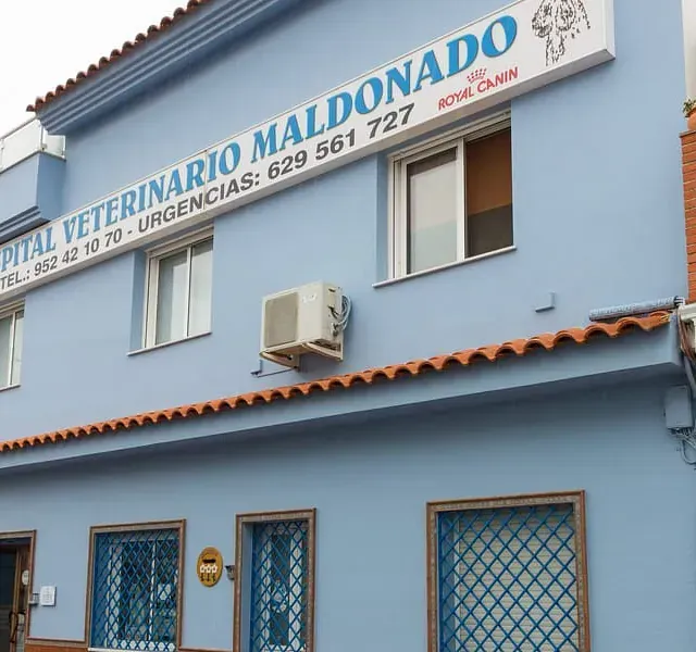 Un edificio azul con un cartel que dice Hospital Veterinario Maldonado.