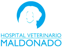 A blue and white logo for hospital veterinario maldonado