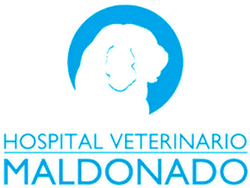 A blue and white logo for hospital veterinario maldonado