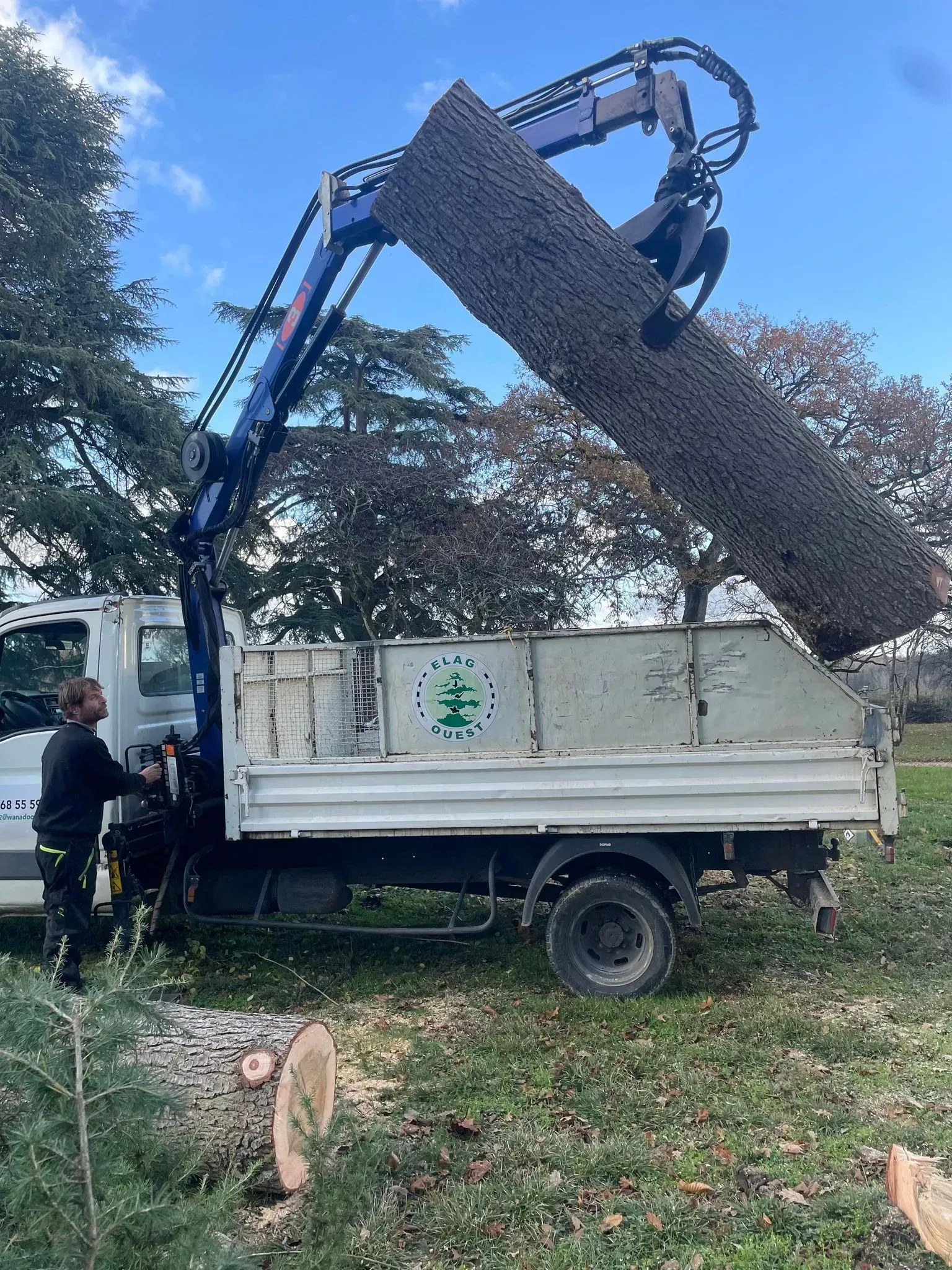 Tronc d'arbre en train d'être chargé à l'arrière d'un camion