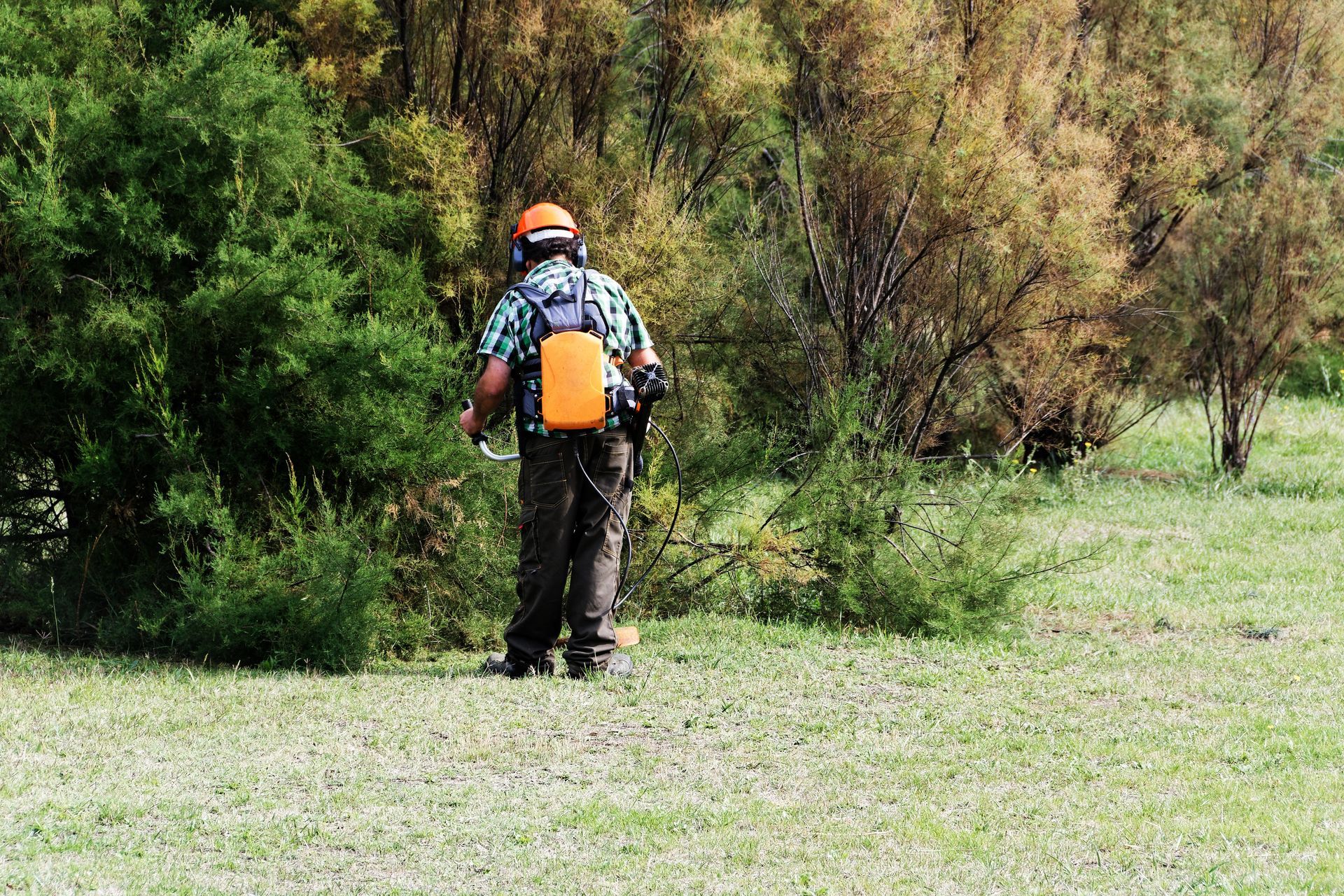 Jardinier en train de débroussailler