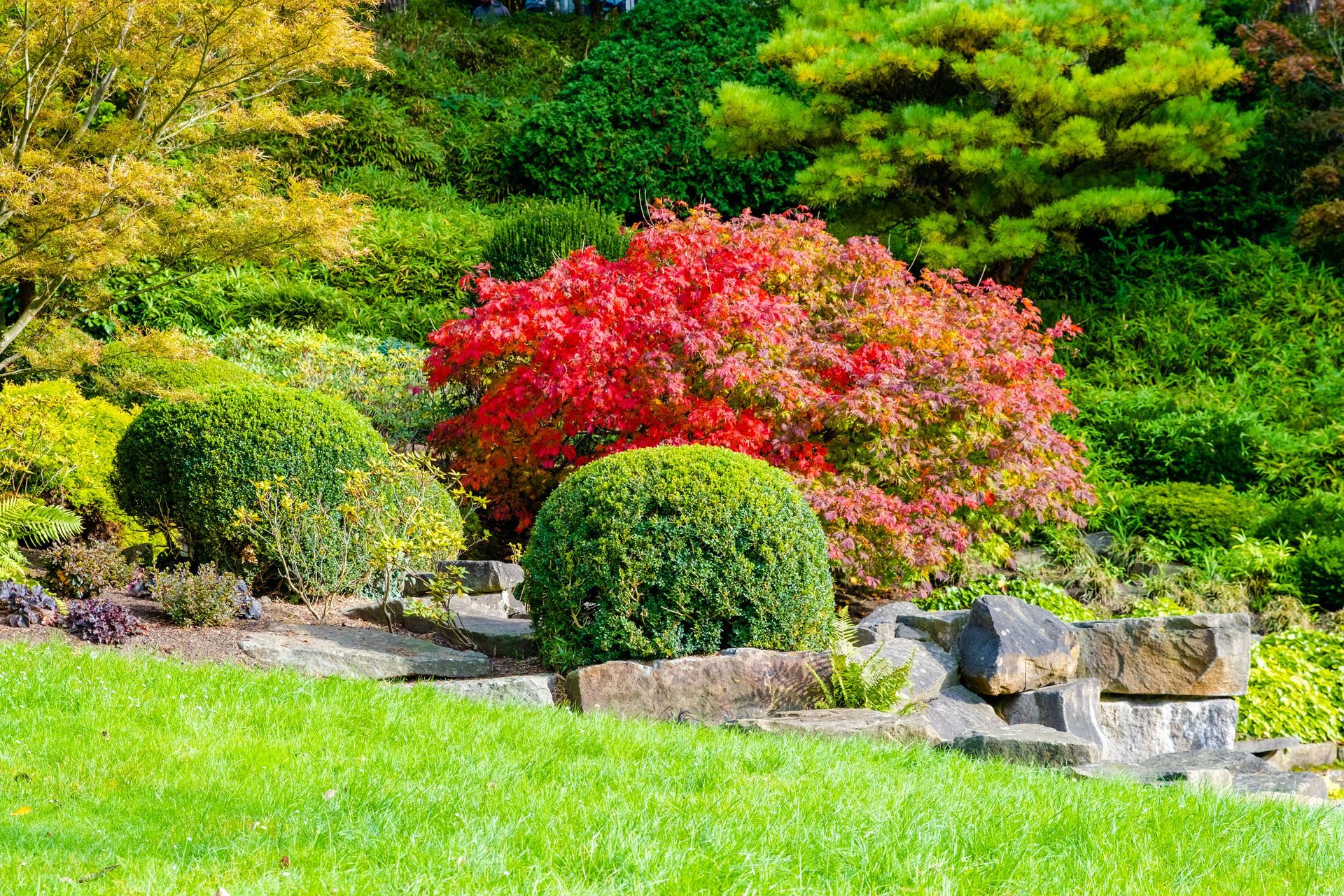 Beau jardin aménagé