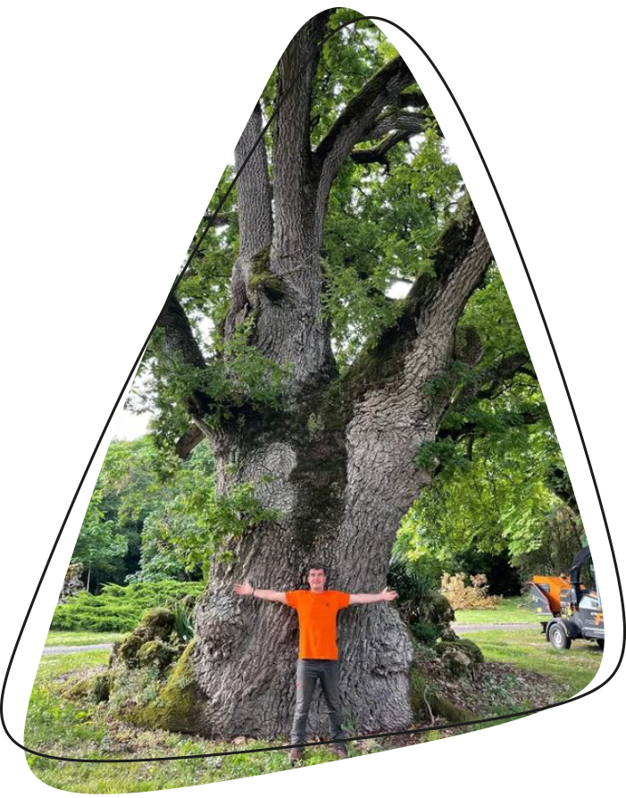 Homme écartant les bras devant un grand arbre