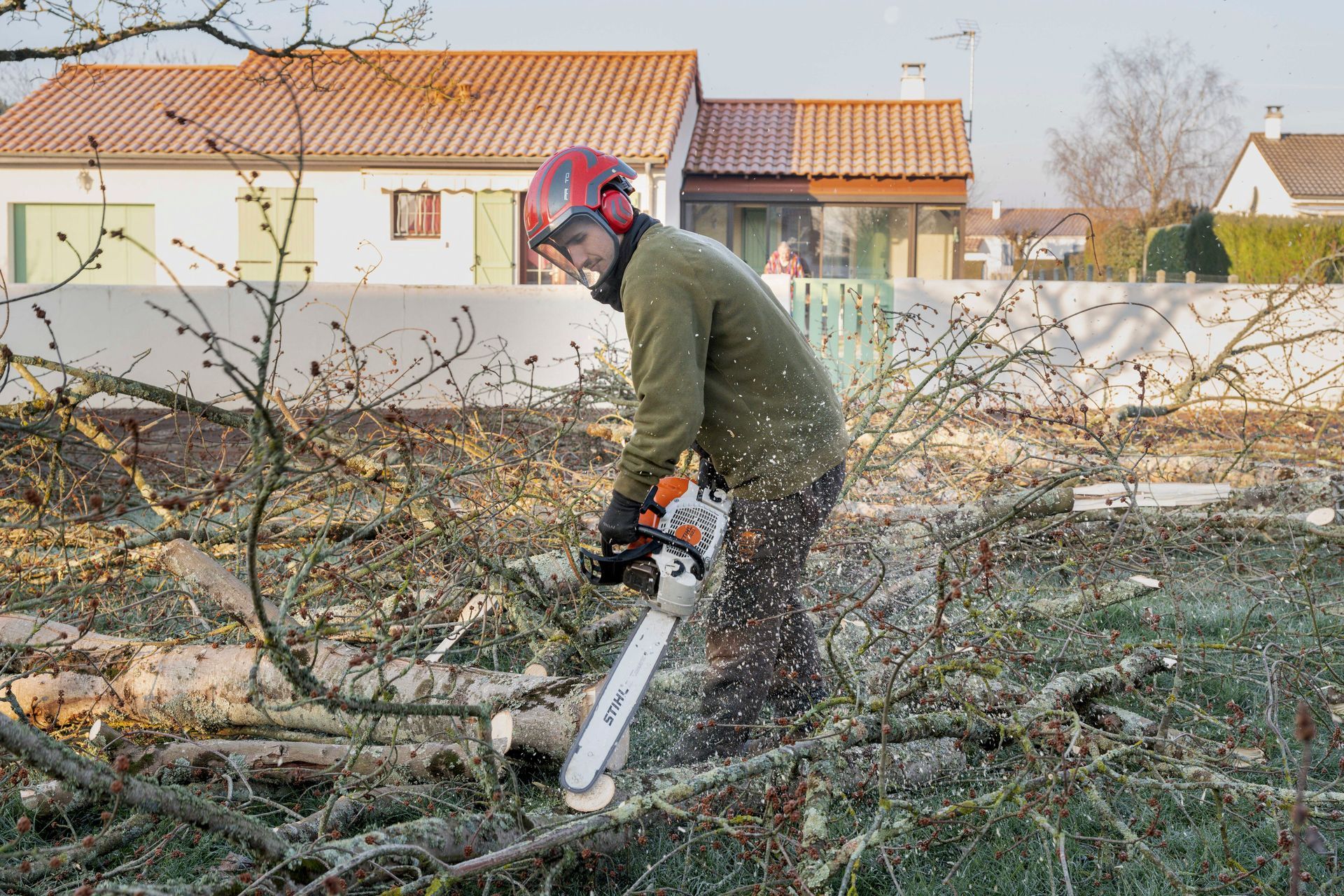 Arboriste tronçonnant des branches d'arbres