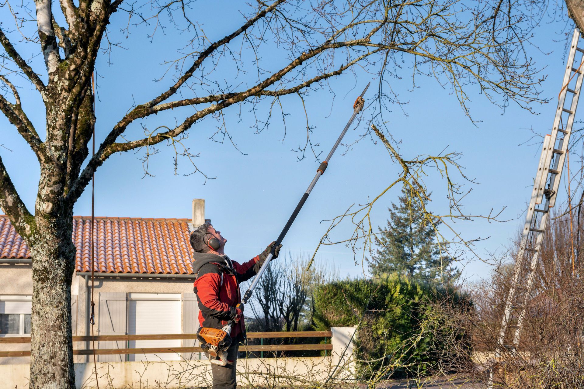 Arboriste élaguant d'en bas