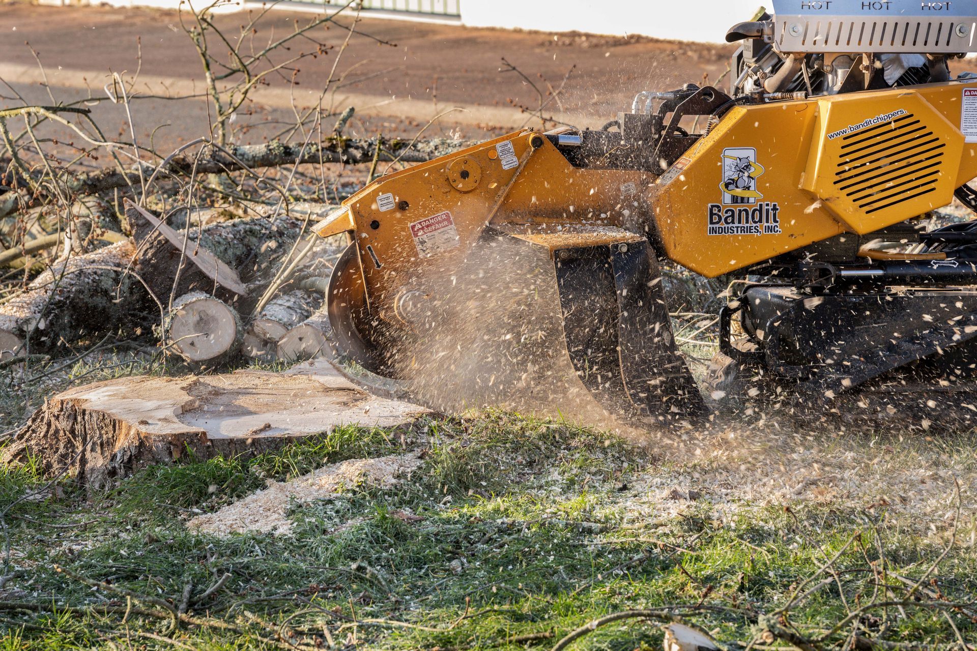 Rogneuse de souche en action