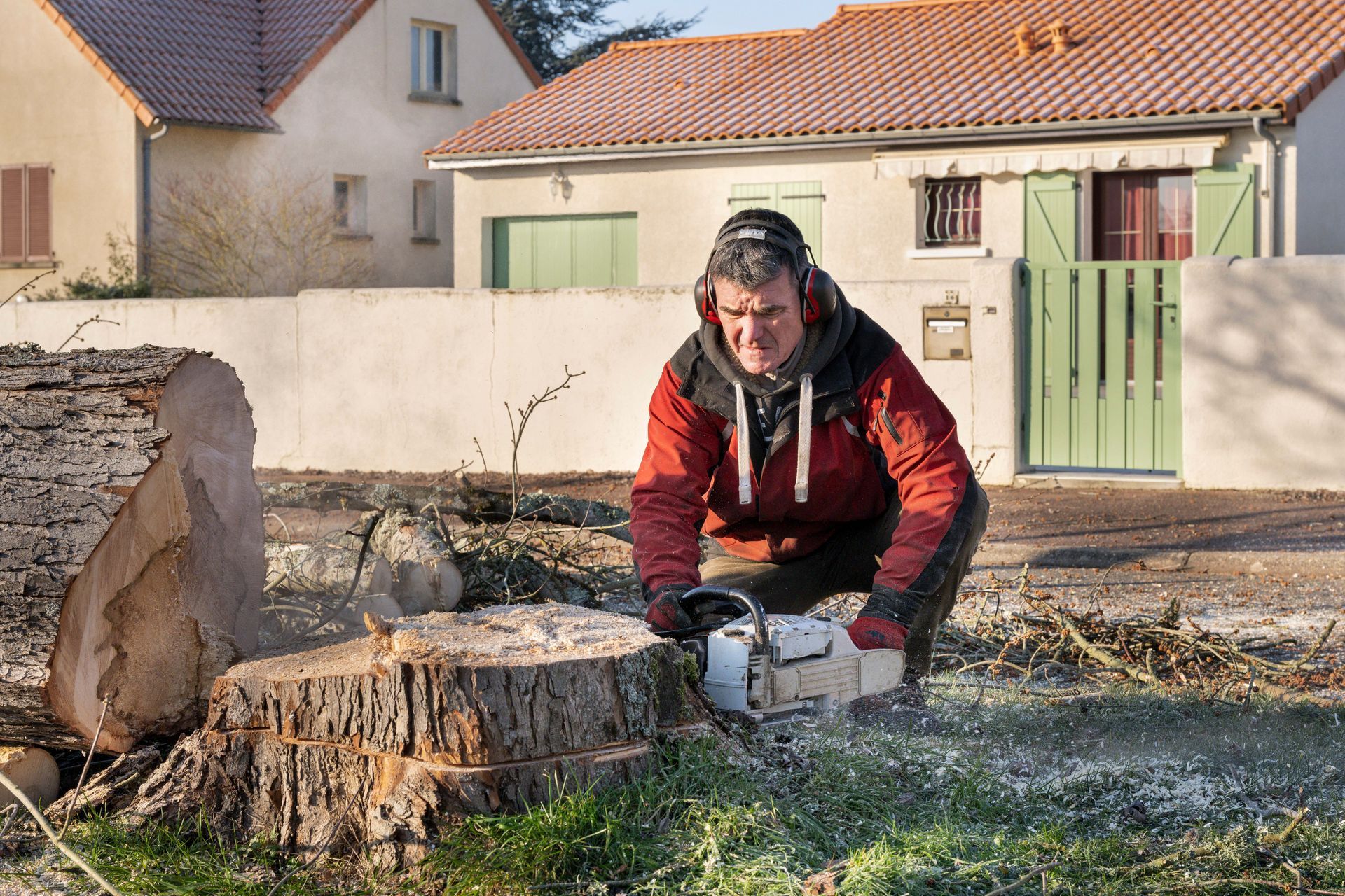 Découpe d'un tronc d'arbre abattu