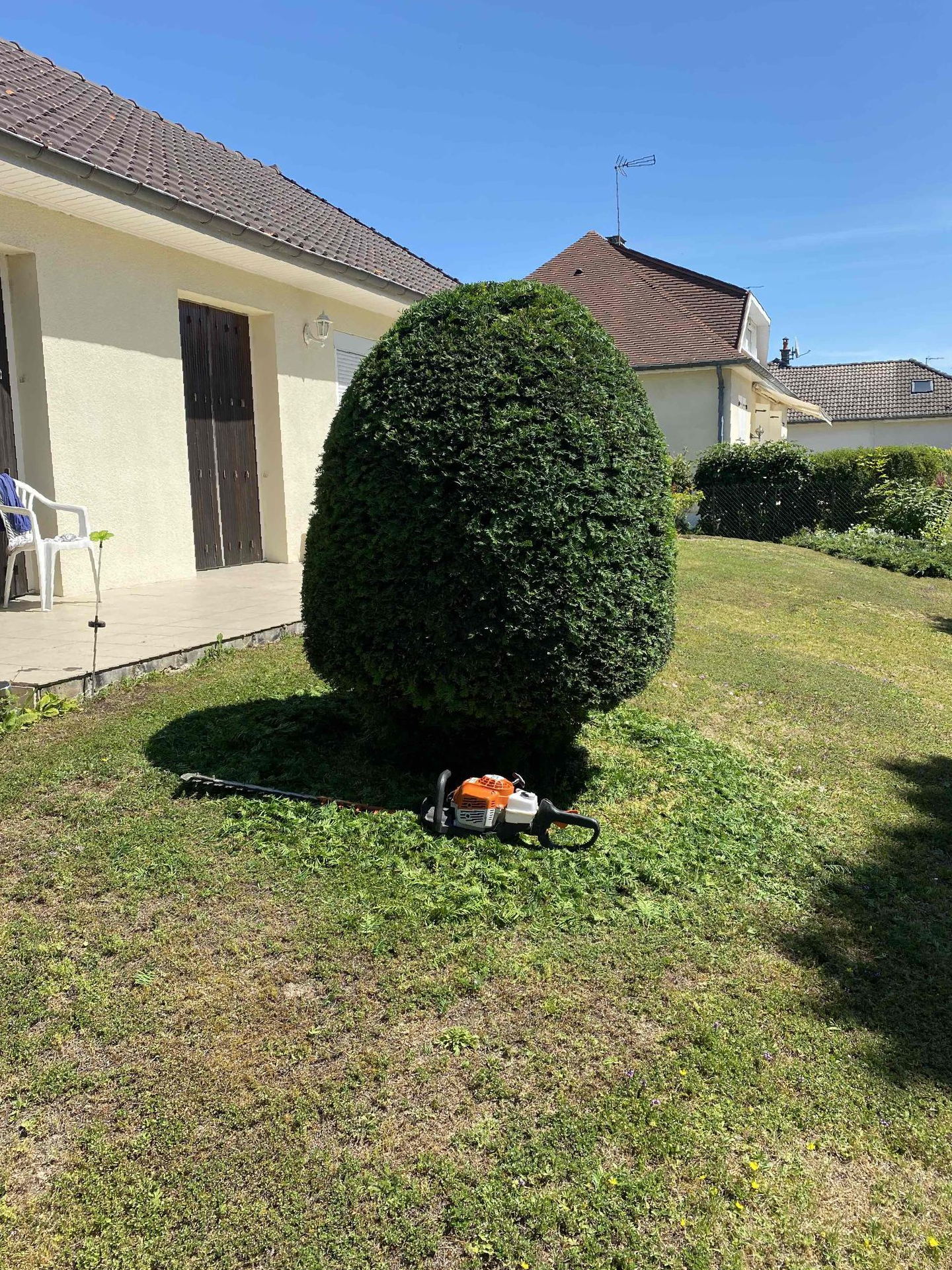 Taille de haie arrondie