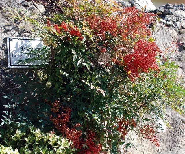 Un cartel en una pared que dice